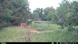 201 Hill Branch Lane - Photo 2