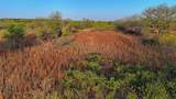 0 Fm 9 Pecan Orchard Side - Photo 28