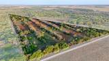 0 Fm 9 Pecan Orchard Side - Photo 37