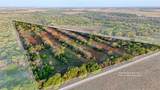 0 Fm 9 Pecan Orchard Side - Photo 38