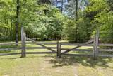15042 Canopy Oaks Drive - Photo 7