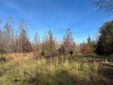 tract A County Road 1412 - Photo 1