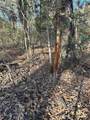 tract A County Road 1412 - Photo 13