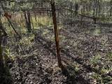 tract A County Road 1412 - Photo 14