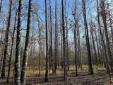 tract A County Road 1412 - Photo 15