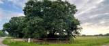 LOT 6 County Road 1560 - Photo 13