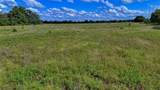 1494 Alamo Road - Photo 5