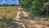 TBD Alamo Road - Photo 11