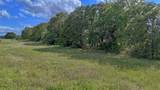 TBD Alamo Road - Photo 9