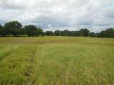 TBD County Road 488 - Photo 1