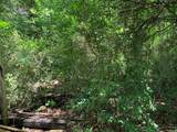 501 Rose Garden Circle - Photo 6