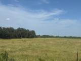 TBD Mitchell Hill Road - Photo 7