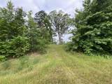 TBD Us Hwy 259 - Photo 5