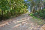 TBD Charlya Drive - Photo 10