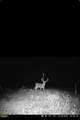 0000 Fm 3206 - Photo 4