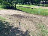 Lot 110 La Bota - Photo 17
