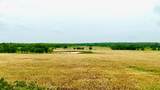 1179 County Road 1990 - Photo 12