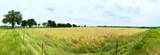 1179 County Road 1990 - Photo 14