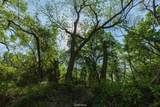 5090 County Road 182 - Photo 17