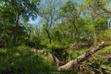 5090 County Road 182 - Photo 18