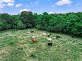66.682 Acres County Road 2190 - Photo 1