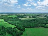 66.682 Acres County Road 2190 - Photo 18
