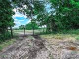 66.682 Acres County Road 2190 - Photo 2