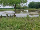 66.682 Acres County Road 2190 - Photo 5