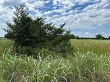 Lot 8 Lemonade Ln. - Photo 6