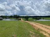 20550 Highway 9 - Photo 10