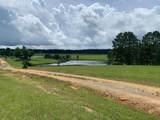 20550 Highway 9 - Photo 11