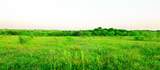 TBD Goodwyn Road - Photo 4
