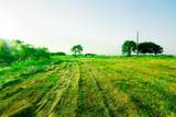 TBD Goodwyn Road - Photo 7