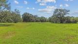 TBD Shady Shores - Photo 1