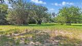 TBD4 Shady Shores - Photo 4