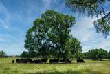 5200 Cross Timbers Road - Photo 16