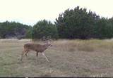 1473 Highway 16 - Photo 16