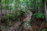 00 County Road 2112 - Photo 24