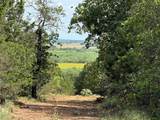 82 Easement - Photo 29