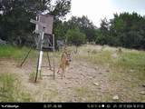 200 Easement - Photo 40