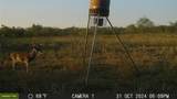 TBD Cr 131 - Photo 40