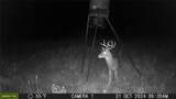 TBD Cr 131 - Photo 5
