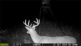 TBD Cr 131 - Photo 7