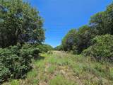 1750 County Road 173 - Photo 11