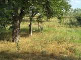 TBD Cr 416 - Photo 9