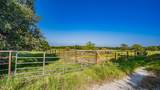 7601 Panther Branch Road - Photo 12