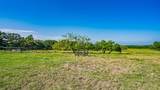 7601 Panther Branch Road - Photo 14