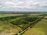 35 Acres County Road 159 - Photo 10