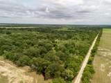 35 Acres County Road 159 - Photo 19