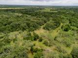 35 Acres County Road 159 - Photo 20